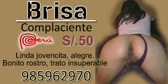 cybernenas brissa